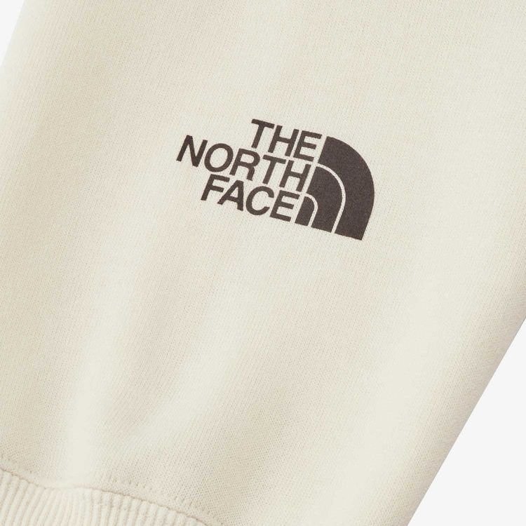 THE NORTH FACE LAYBACK HOODIE DD