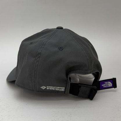 THE NORTH FACE Purple Label 65/35 GTX INF CAP AH