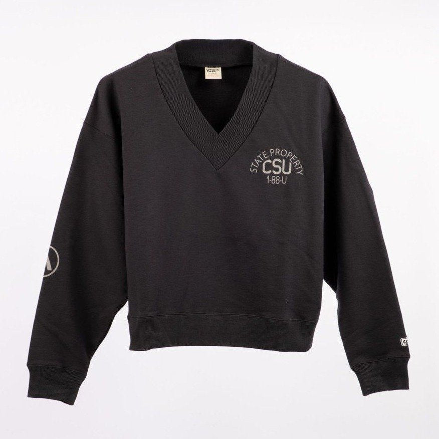 COLLEGIATE PACIFIC V Neck Sweat Shirt（HLEX) CHARCOAL