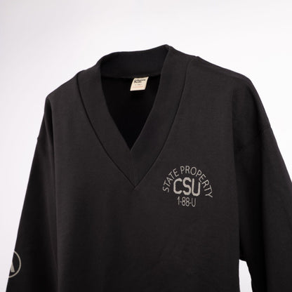 COLLEGIATE PACIFIC V Neck Sweat Shirt（HLEX) CHARCOAL