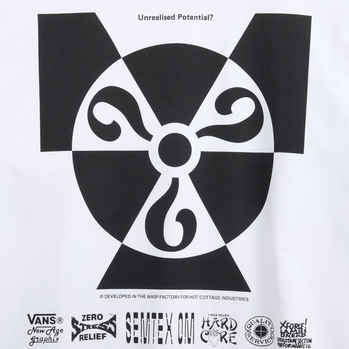 Vans ED DAVIS LS TEE Blanc de Blanc