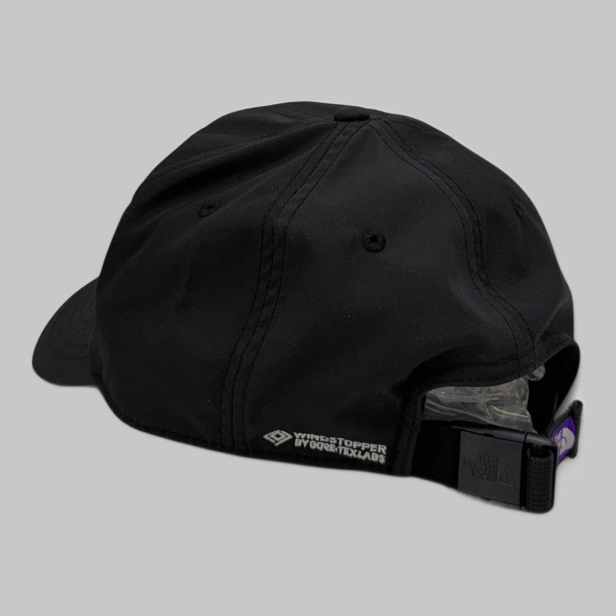 THE NORTH FACE Purple Label 65/35 GTX INF CAP K