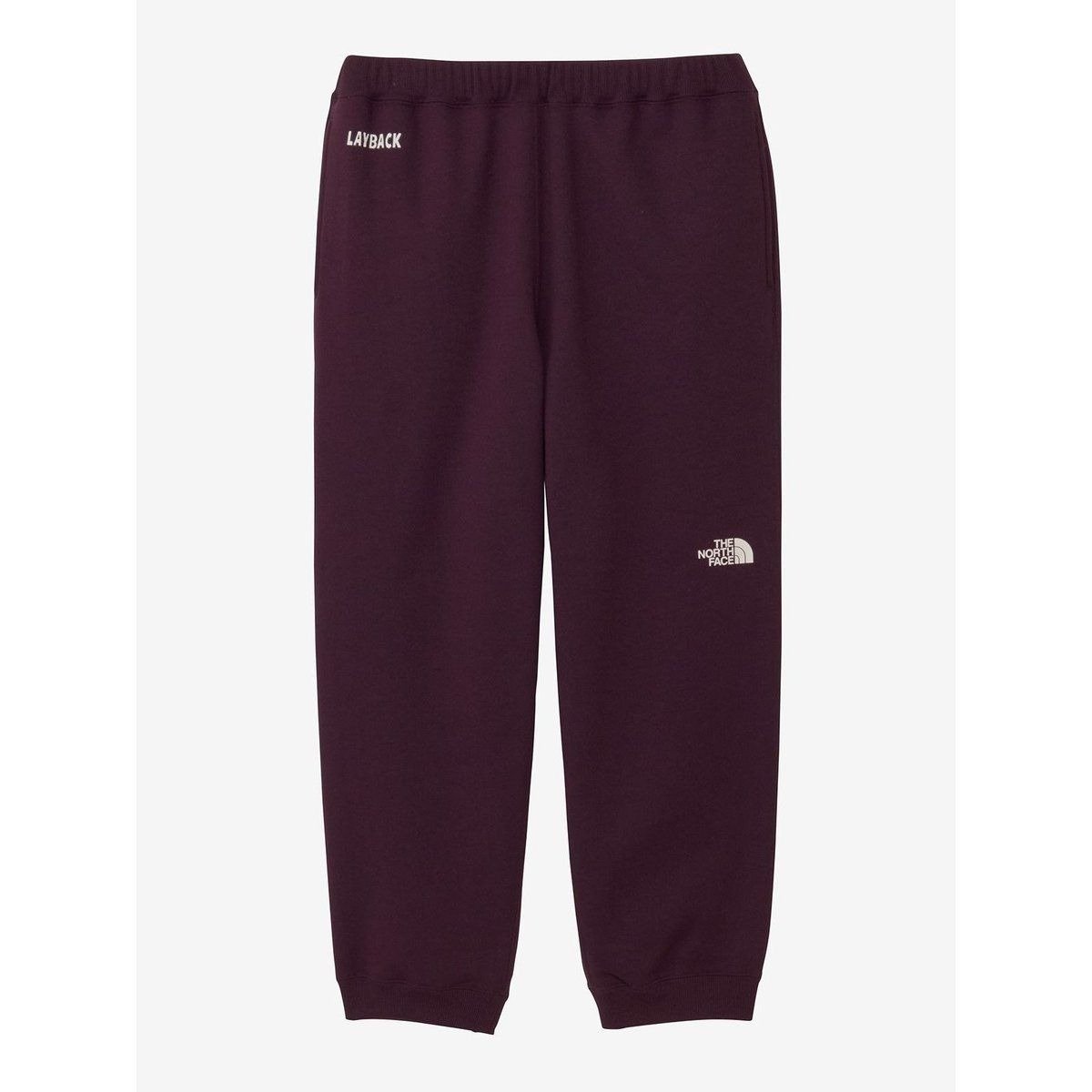THE NORTH FACE LAYBACK PANT VW