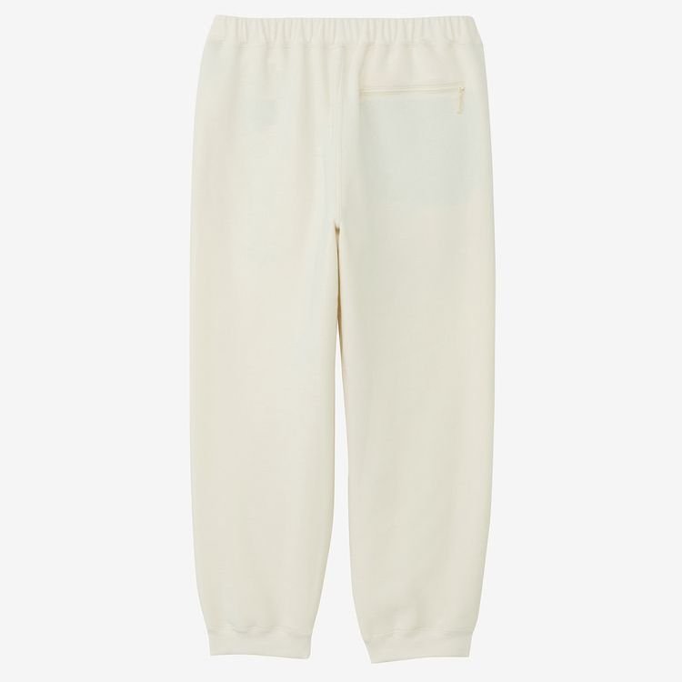 THE NORTH FACE LAYBACK PANT VW