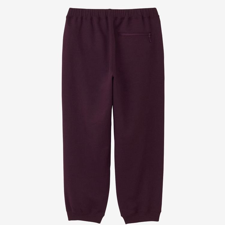 THE NORTH FACE LAYBACK PANT VW